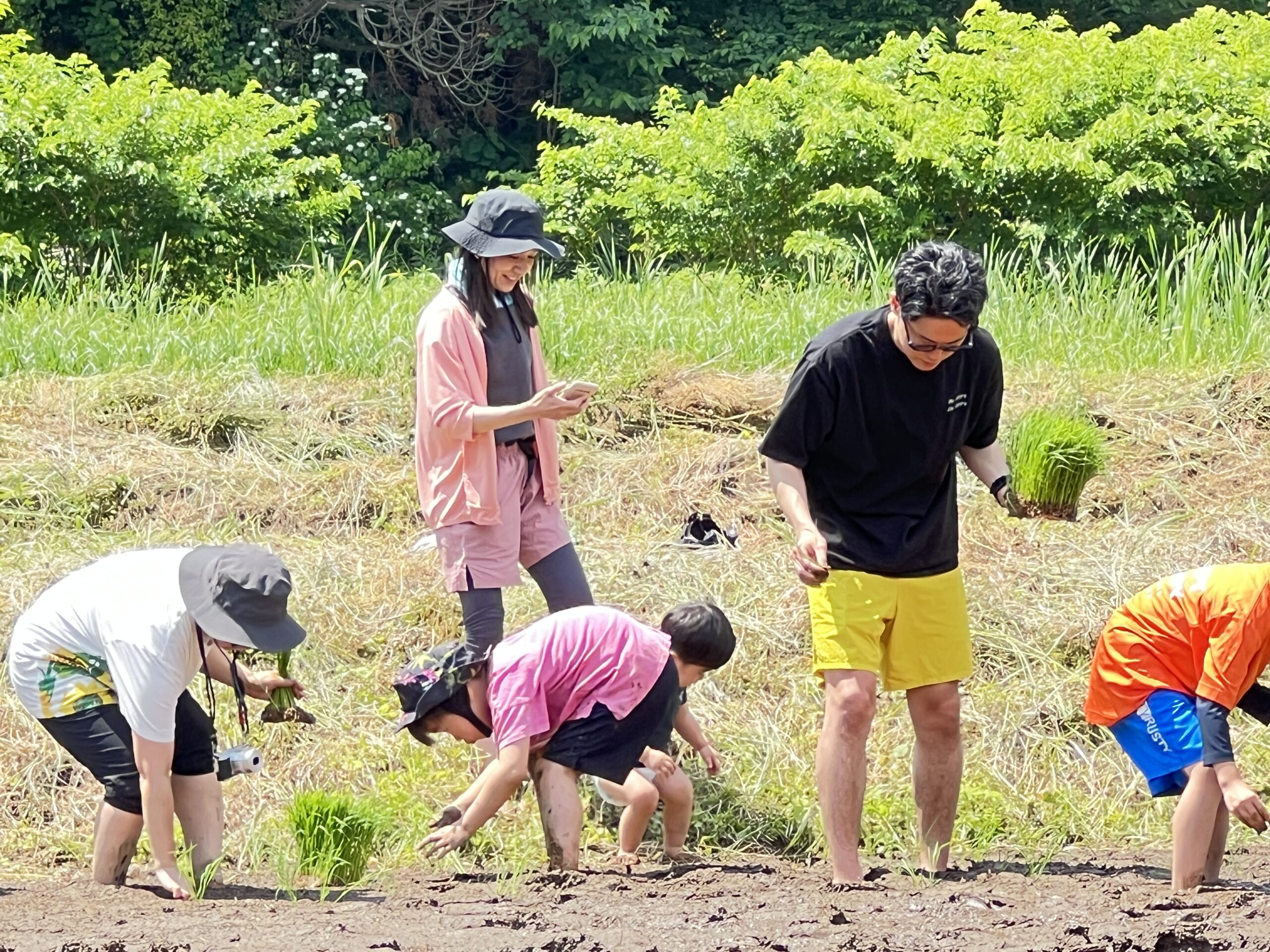 写真3