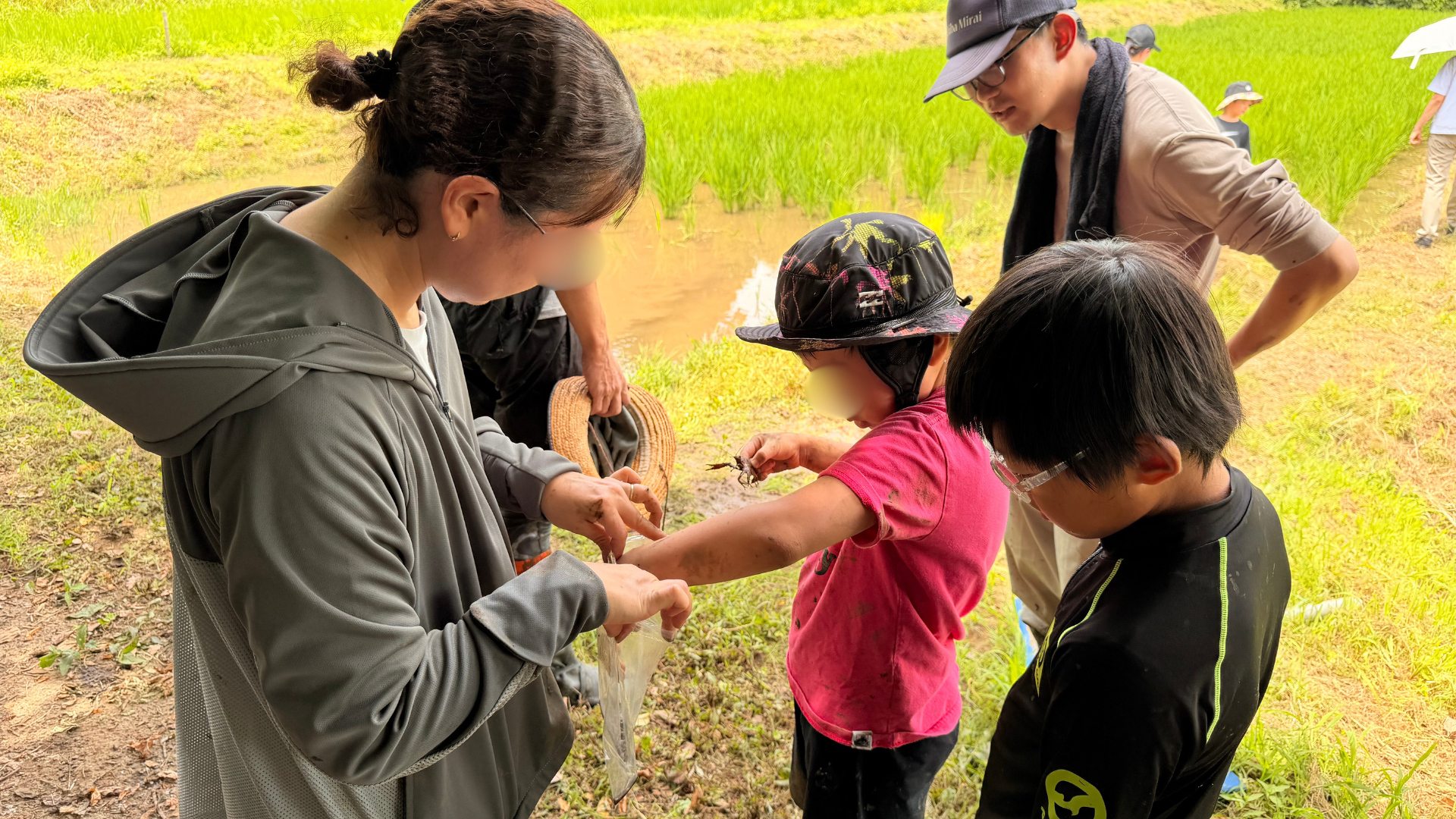 東金市 田んぼの学校 子どもの見つけた生きものを観察する参加者