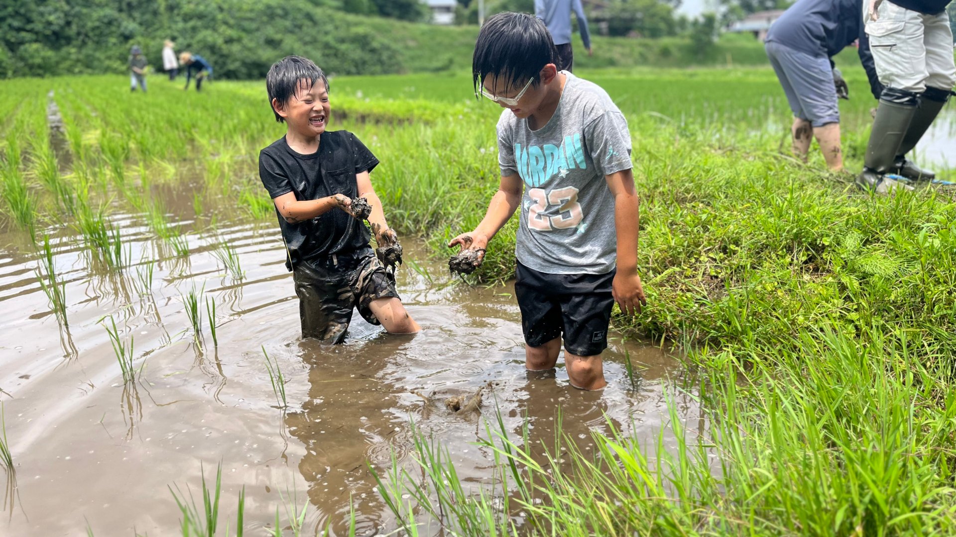 田んぼの中で笑顔で泥遊びをする子どもたち