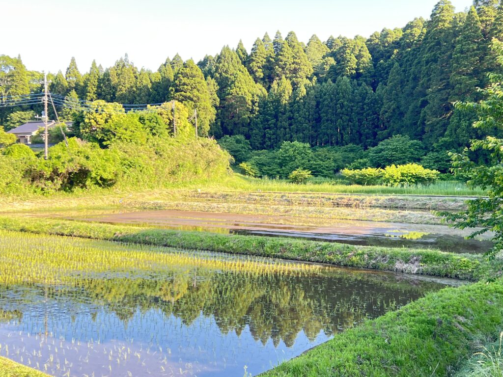 千葉県東金市とコラボをしてプロジェクト学習をした場所