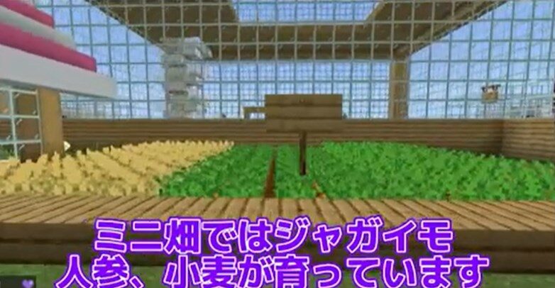 ジャガイモ・人参・小麦が育つミニ畑